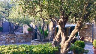 Villa della Pietra - Poggi - 0