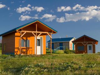 Lodgepole Gallery - Browning - 4
