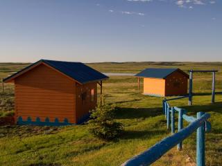 Lodgepole Gallery - Browning - 2