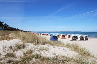 F-1059 Landhaus am Rebstock FeWo Anker - Lancken-Granitz - 8