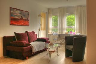 Apartment am Großen Garten Dresden - 8