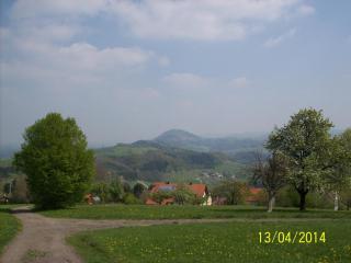 Ferienwohnung Lamm - 4