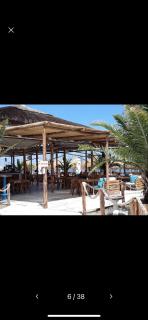ALEMAR Sunny - Mamaia Nord – Năvodari - 7