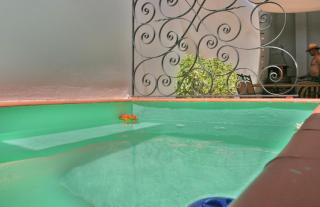 CASA RURAL ENTRE VINYES - El Pinós (Pinoso) - 9