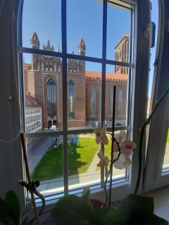 Apartment in Old Town - view of Mariacki Church - Danzig - 0