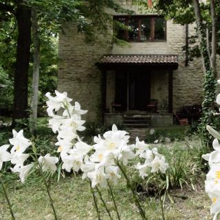 La Casita - 6