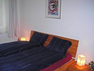 Apartment Chalet Almis-Bödeli-1 by Interhome - Grindelwald - 5