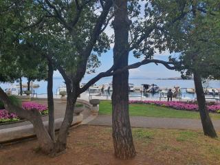 MIAU Premium apartments - 9