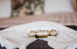 Beau Vista Lodge - 1