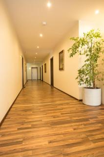 Hotel Viola - Hochheim am Main - 8