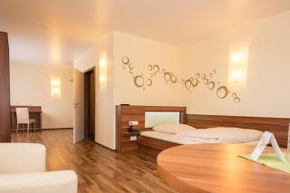 Hotel Viola - Hochheim am Main - 4