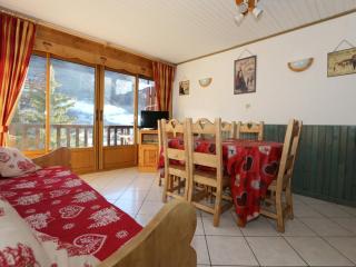 Appartement 3 pièces pour 6 avec Wifi et animaux acceptés à Valloire. - FR-1-263-56 - Valloire - 0