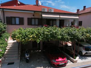 Apartman Bruna - Novigrad - 0