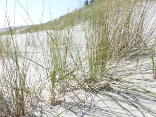 Haus Uthlande HAus Uthlande Whg 46 Watten Blick - 6