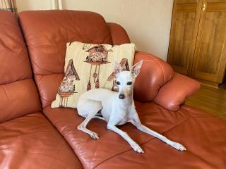 Ferienhaus Frei 3 Budget - 5