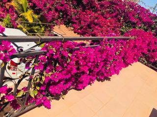 Petite Flower Guest House - Talata-maty - 2