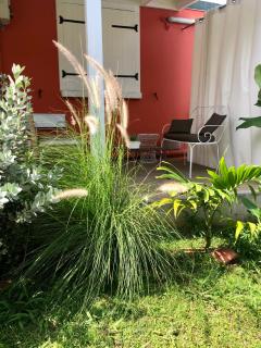 Colibri Garden - Baie-Mahault - 4