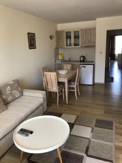 SIRENA Sea view apartments - Goudstrand - 9