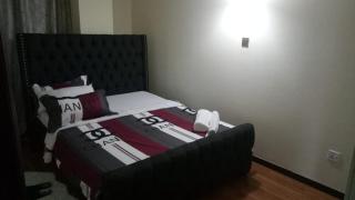 Kilimani furnished apartment - Nairobi - 4