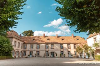 Château de la Cour Senlisse - Senlisse - 9