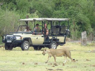 Nogatsaa Pans Chobe Lodge - Kasane - 3