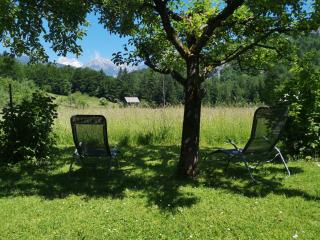 Apartmaji Preželj - Bohinj - 4