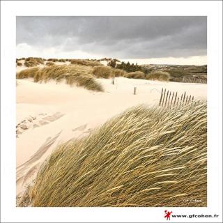 Chambre d'hôtes Les Nymphéas - Wimereux - 3