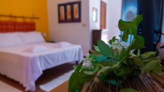 La Casa di Elisabetta - 1