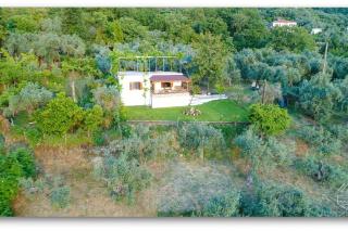 Olivia's Guest House - 4