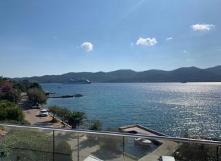 The View - 5