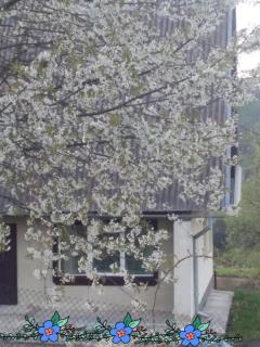 Садиба "У стрийка" Сопіт - Sopot - 2