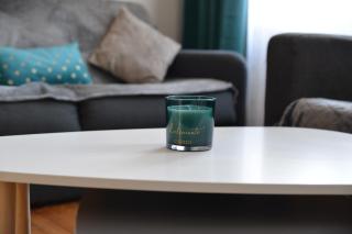 sweet In apartment - Anzin - 4