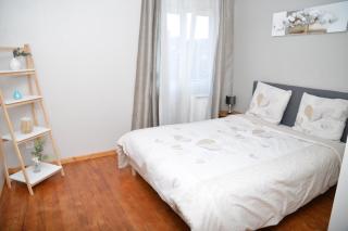 sweet In apartment - Anzin - 1