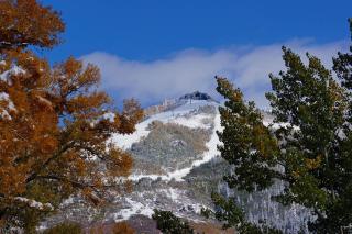 Bear Creek Lodge Townhome - Steamboat Springs - 6