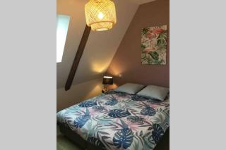 Appartement dans maison de 1789 au centre de Vitré - Vitré - 0