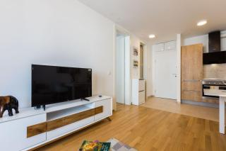 Tanja modern apartment with balcony and parking garage - 1