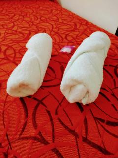 Ns Hotel - 2