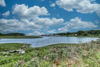 Bufflehead Retreat - Kennebunkport - 6