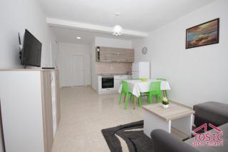 Tosic Apartmani - Bar - 9