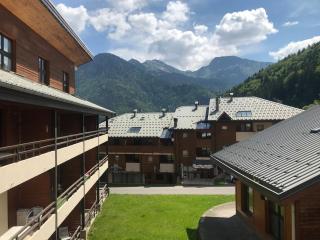 APPT 4-6 PERS 28m2 tout équipé, 30m des pistes - Saint-Jean-d'Aulps - 7