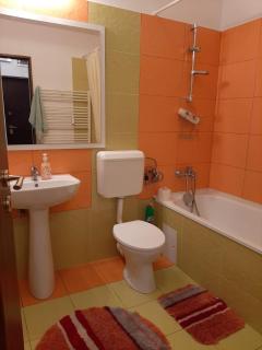 ARAD Chic Apartament UTA - 8