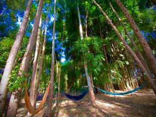 Pousada do Bosque - 3