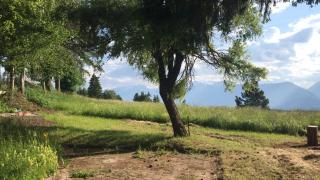 Pisolo Cottage - Ronzone - 2
