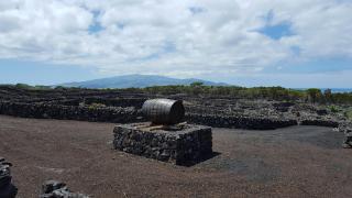 Casa da estrela canopus - 1