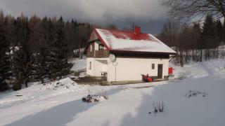 Holiday home Sedlonov - Adlergebirge 949 - Sedloňov - 1