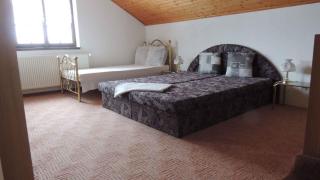 Holiday home Sedlonov/Adlergebirge 949 - Sedloňov - 4