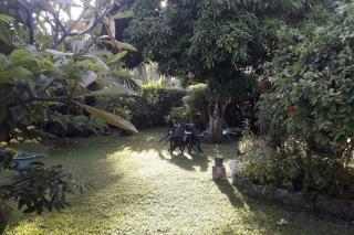 Fare Totara, jardin verdoyant - Moorea - 2