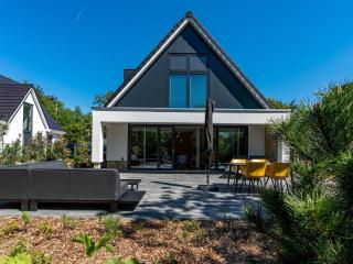 Energy-neutral villa with wellness area - Den Burg - 0