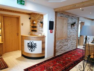 Tirol Appartement Haus Zillertal - Zell am Ziller - 9