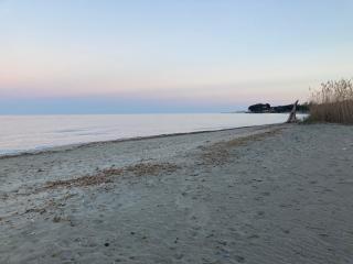 Hôtel La Demeure Coloniale - 2